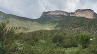Piden a empresas adoptar árboles para apoyar reforestación del Cañón de San Lorenzo