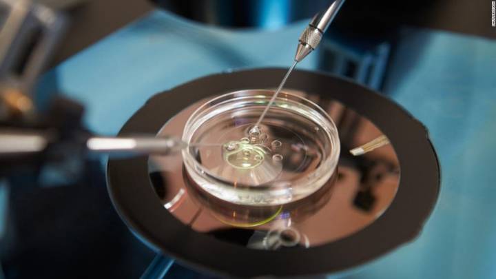 Trump lanza iniciativa para abaratar tratamientos de fertilización in vitro en Estados Unidos