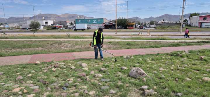 Atiende Gobierno Municipal parques de la ciudad diariamente con limpieza