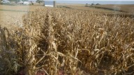 Manage fire risks during harvest