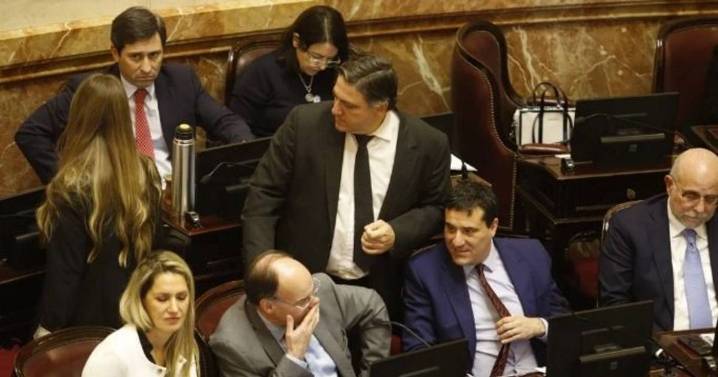 El Senado rechazó los vetos presidenciales en Garrahan y universidades