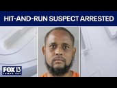 Suspect in deadly Florida hit-and-run makes first court appearance