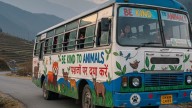 Sikkim mandates 'Be Kind to Animals' message on all public transport vehicles