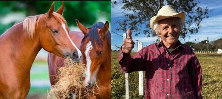 El brasileño que pesca, anda a caballo y administra dos granjas revela cinco pilares para la longevidad