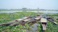 Centre sanctions Rs 692-cr for Assam’s wetland revival, Rs 1,270