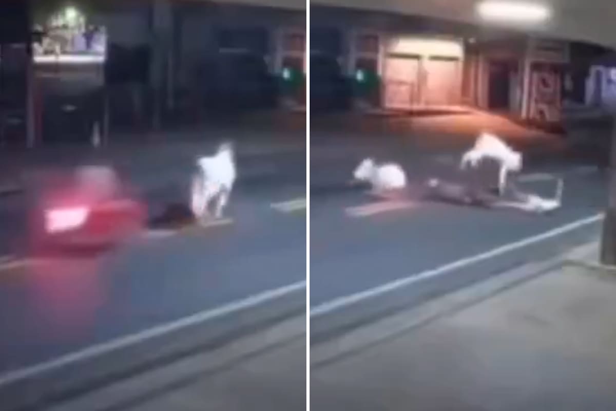 Un futbolista brasileño murió tras chocar contra una vaca en Brasil