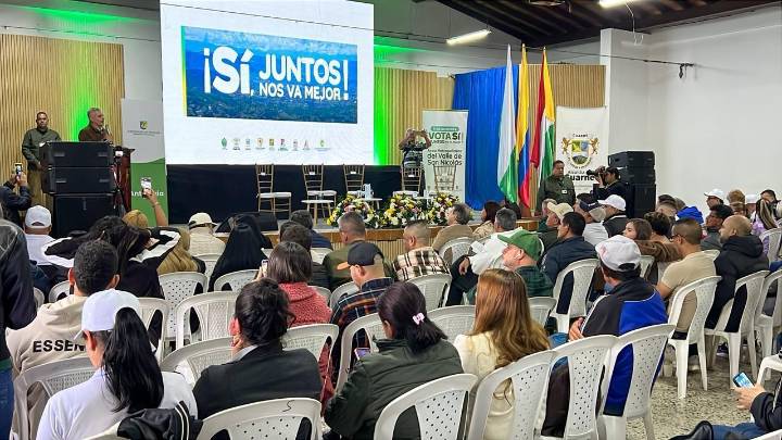 Tutela por falta de recursos para consulta popular del Área Metropolitana en Valle de San Nicolás