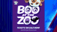 Families enjoy spooky fun at Boo at the Zoo