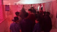 Halloween Fest 2025 en Nogales: diversión, adrenalina y convivencia familiar