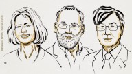 Mary E Brunkow, Fred Ramsdell, Shimon Sakaguchi Awarded 2025 Nobel Prize In Medicine