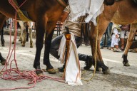 Murillo vive la tradición del arriero en el corazón de los Andes