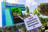 Miami Seaquarium’s final day: Family fun, nostalgia and animal rights protesters