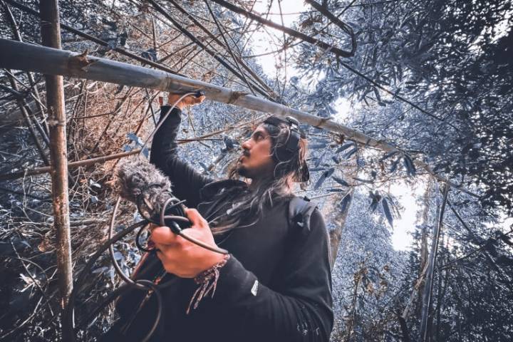 DJs inspired by nature