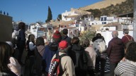 Alicante da a conocer sus paseos y árboles más singulares con los Senderos de Otoño
