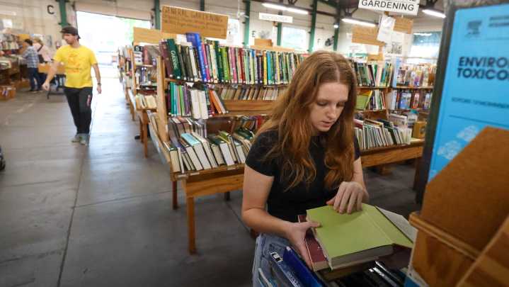 Photos: Friends of the Library Fall 2025 Book Sale