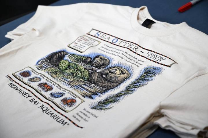 Taylor Swift otter T-shirt auction will help fight hunger in Midcoast Maine