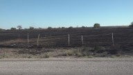 Wildfire burns hundreds of acres in Bell County; multiple agencies respond