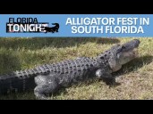 Florida Tonight: October 7, 2025