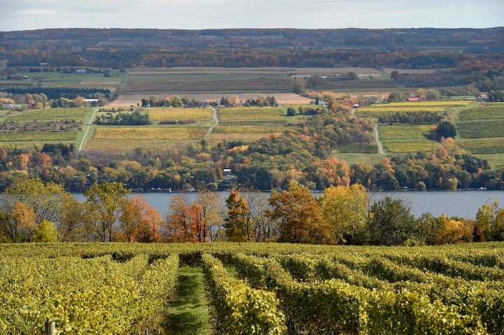 Finger Lakes recognized nationally as ‘American Wine Region of the Year’ for 2025