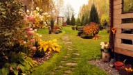 Add This Material To Your Garden Beds In Fall For Bigger Blooms In Spring