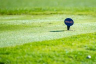 Michigan high school girls golf: Who’s ranked No. 1 heading into regionals?