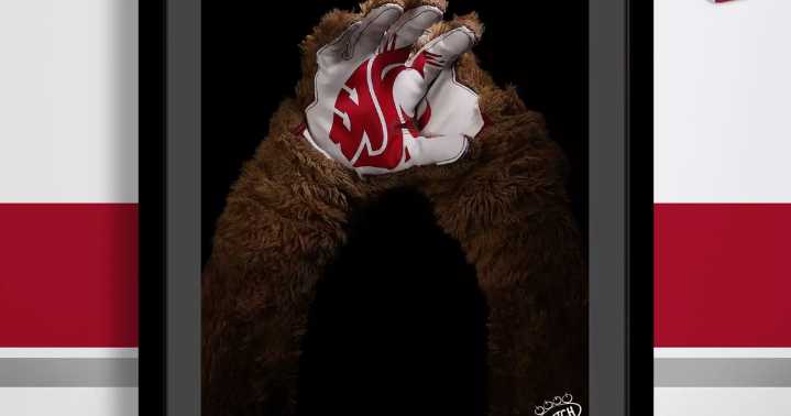 WSU Athletics launches fundraising campaign selling museum-quality photos of mascot Butch T. Cougar's paws