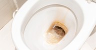1 kitchen essential banishes brown toilet marks permanently without bleach