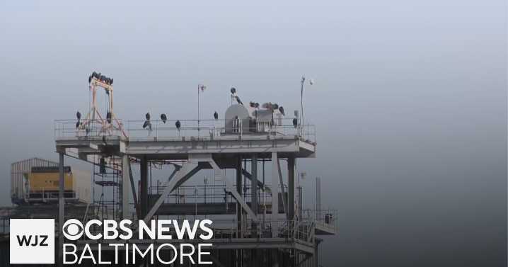 Maryland, Constellation Energy reach agreement for Conowingo Dam projects