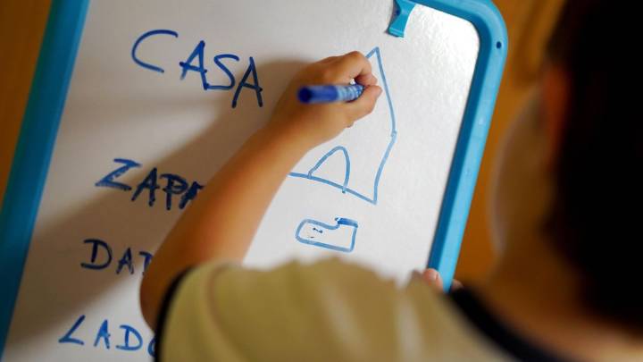 El Gobierno fijará un mínimo de docentes especialistas para alumnos con necesidades especiales