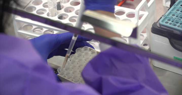 Bird flu case confirmed in Racine County backyard poultry flock