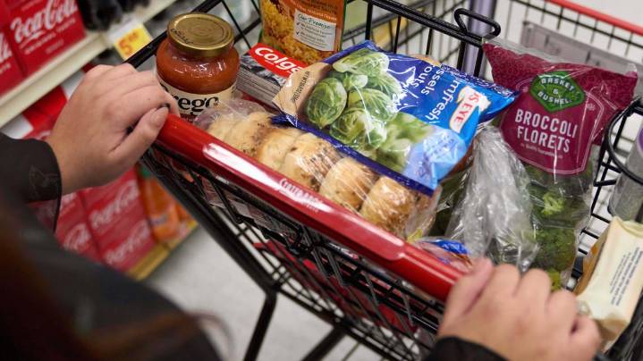 Losing your SNAP benefits Nov. 1? Here are some 'critical' resources to help