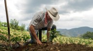 Disparó agosto al campo; evitó contracción económica