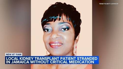 Cook County leaders ask President Donald Trump for help as Rich Township employee Trinette Britt