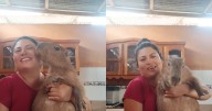 Mujer en Perú se vuelve viral por bailar alegremente con su capibara en la cocina.