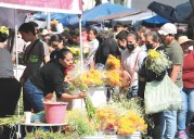 Esperan derrama de 800 millones