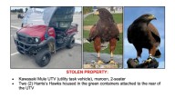 Stolen SoFi Stadium hawk found; 2nd one still missing