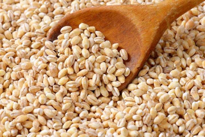 Is Upcycled Barley Protein a Better Protein Source?