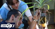 Dengue: nuevos mapas focalizan los sectores con más riesgo de circulación en la ciudad de Córdoba