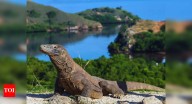 Why this famous National Park in Indonesia has restricted tourist entry suddenly