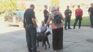 Cliff the Pit Bull reunites with rescuers one year after North Little Rock cliffside rescue