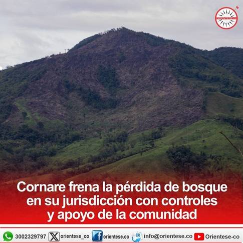 Cornare frena la pérdida de bosque en su jurisdicción con controles y apoyo de la comunidad
