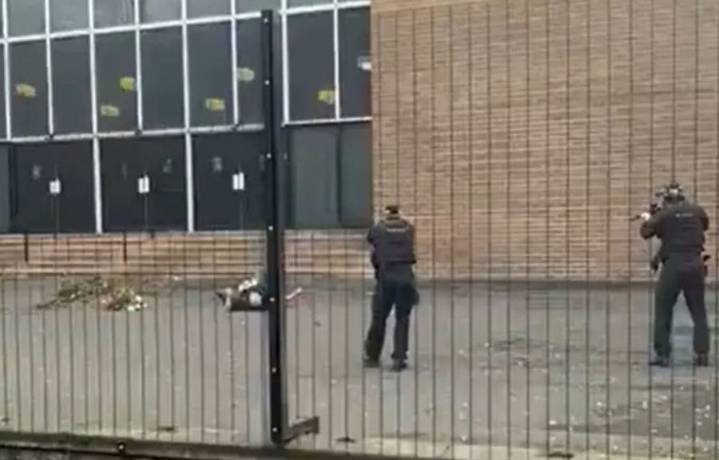 Ataque frente a sinagoga lo califican como atentado terrorista