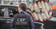 Deja septiembre múltiples incautaciones de narcóticos en garitas de Nogales
