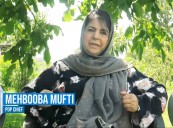 PDP submitted Bill to safeguard land occupants: Mehbooba