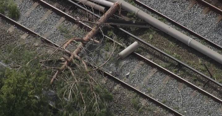 Downed tree on BART tracks between Fremont, Union City stations halts service on Berryessa Line