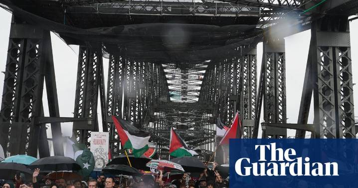 Sydney Opera House pro-Palestine march has ‘disaster written all over it’, senior NSW police officer tells court