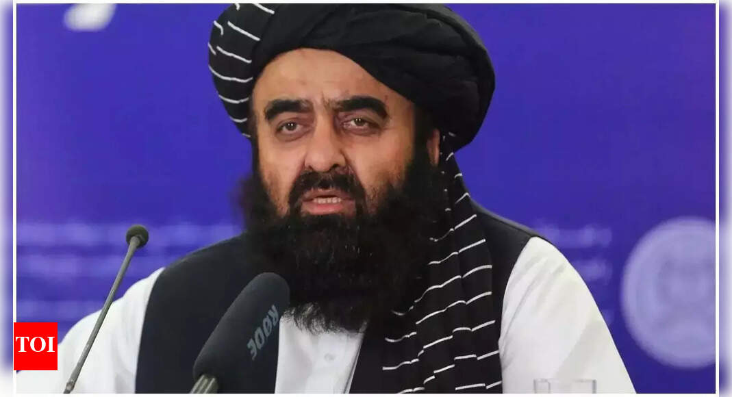Taliban FM to visit India next week? Muttaqi gets travel exemption; first high