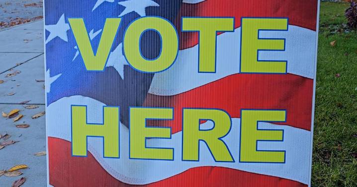 Mat-Su voters turn out for city elections