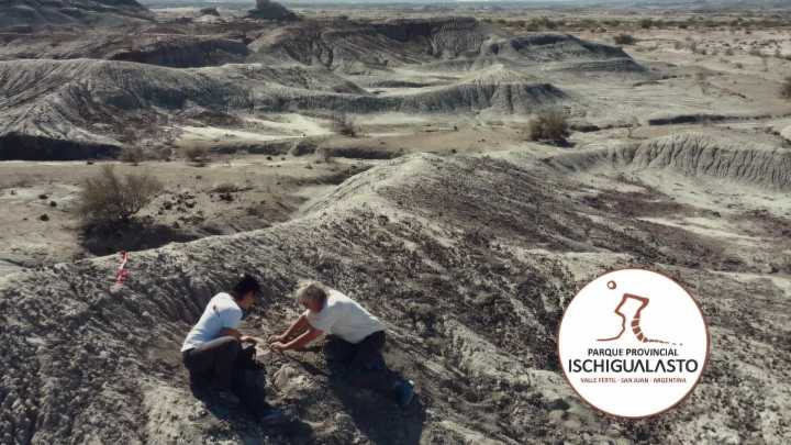 Descubren en Ischigualasto un dinosaurio bípedo y carnívoro de 230 millones de años