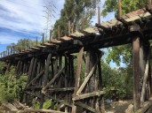 New book documents the fight to save the ill-fated Willow Glen trestle